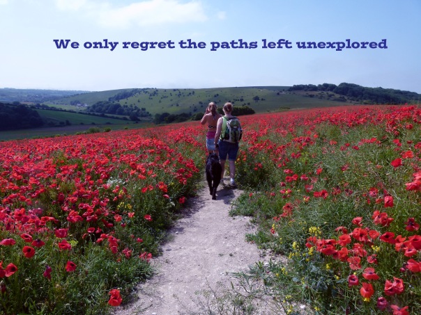 Path Poppies unexplored