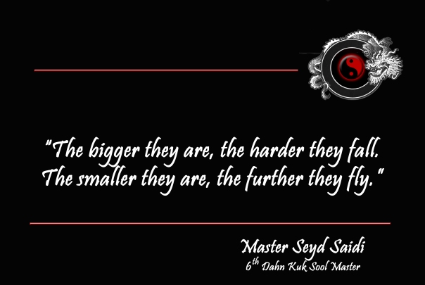 KSW Quote Smaller fly